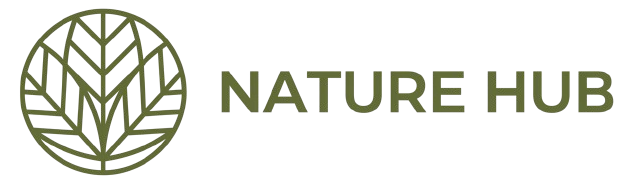 Gemini_Generated_Image_5t4t1c5t4t1c5t4t-removebg-preview